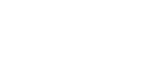 Instituto Sanches Fernandes